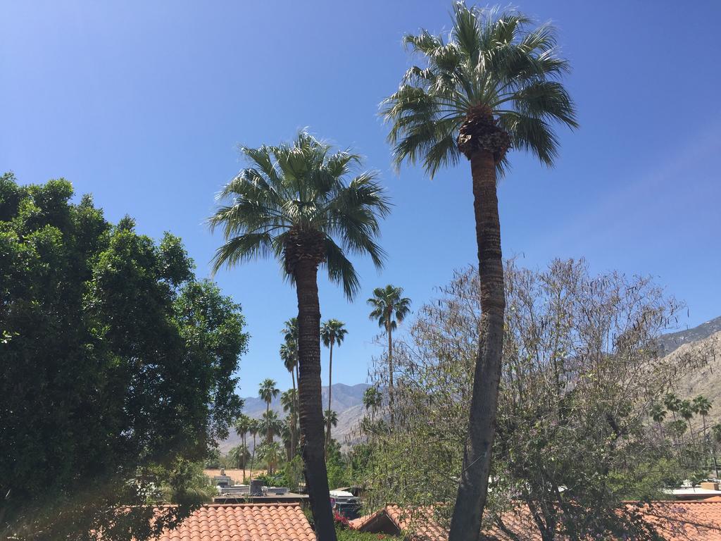 Warm Sands Villa Palm Springs Buitenkant foto
